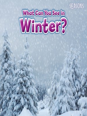 cover image of What Can You See In Winter?